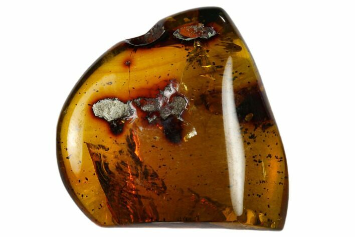 Polished Chiapas Amber ( g) - Mexico #114976